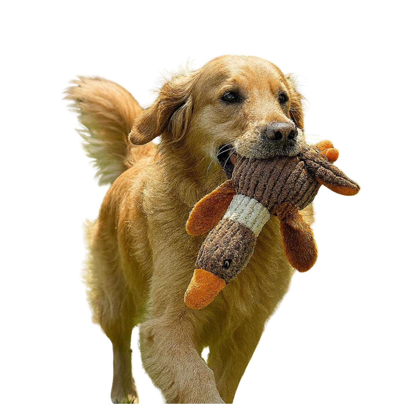Brick Hues Plush Duck Squeaky Dog Toy – Durable Chew, Fetch & Teething Toy for Puppies, Small, Medium & Large Dogs | Soft, Safe, Non-Toxic, Washable Interactive Pet Toy (Brown)