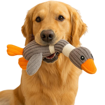 Brick Hues Plush Duck Squeaky Dog Toy – Durable Chew, Fetch & Teething Toy for Puppies, Small, Medium & Large Dogs | Soft, Safe, Non-Toxic, Washable Interactive Pet Toy (Grey)