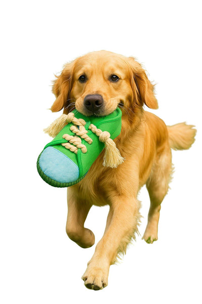 Brick Hues Sneaker Rope Dog Toy – Durable Chew, Tug & Fetch Toy for Puppies, Small, Medium & Large Dogs | Interactive, Non-Toxic, Washable Pet Toy (25cm, 56g, Green)