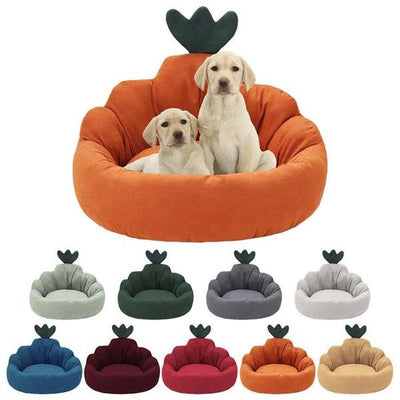 CarrotCozy AllSeason Pet Bed Fresh Comfort for Your Furry Friend