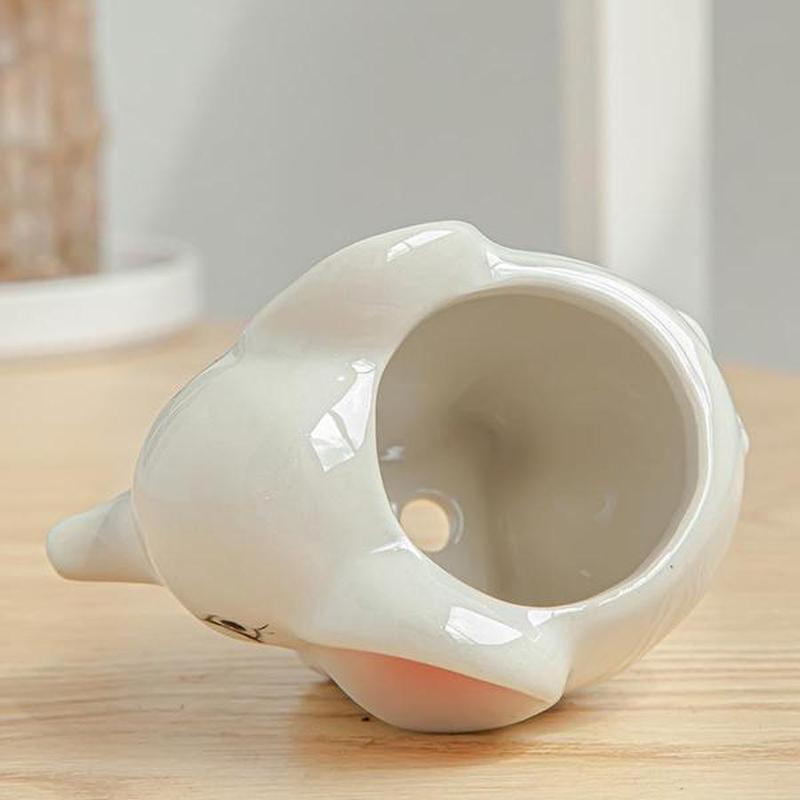 Cute Cartoon Succulent Ceramic Flower Pot