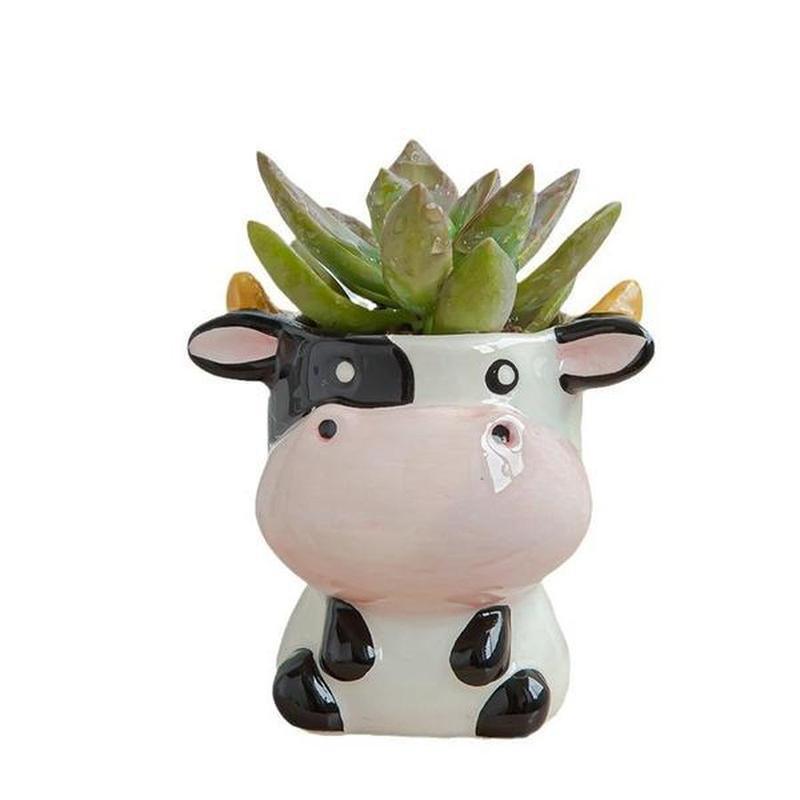 Cute Cartoon Succulent Ceramic Flower Pot