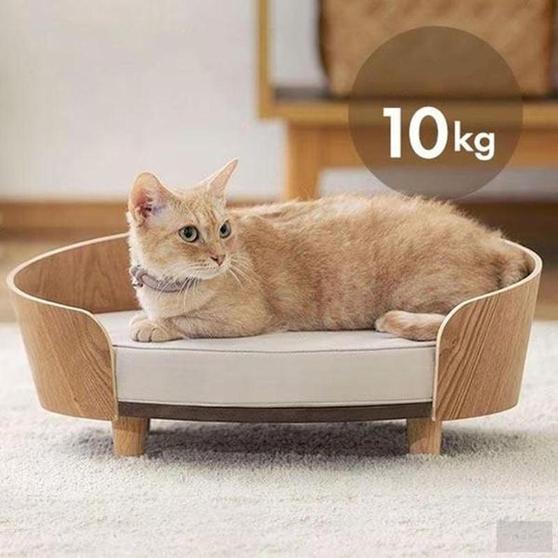 Elevated Wooden Cat and Small Dog Bed with Cushion – Minimalist Pet Furniture for Indoor Pets | Breathable Raised Pet Lounger