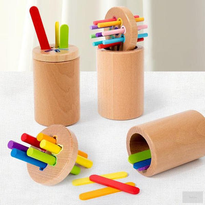 Montessori Sorting Toy