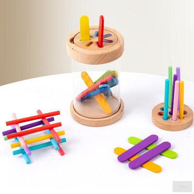 Montessori Sorting Toy