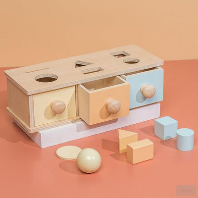 Montessori Sorting toys