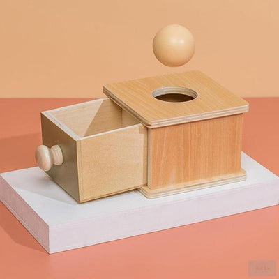 Montessori Sorting toys