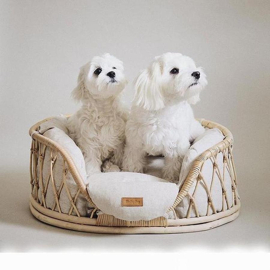 Pet Bed Handmade Rattan Woven Sofa For Dogs or Cats