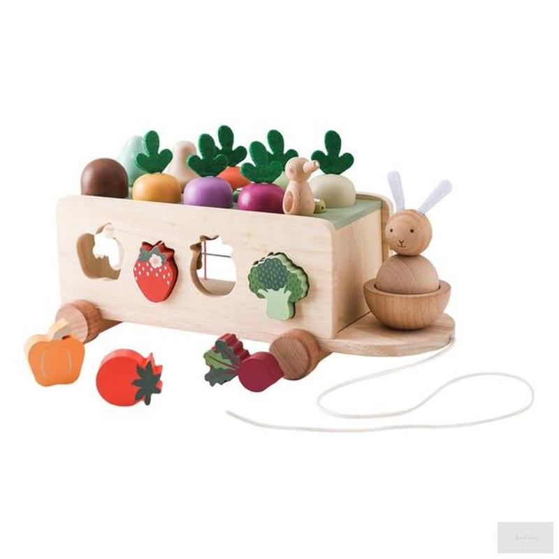 Wooden Multifunctional Montessori Toy